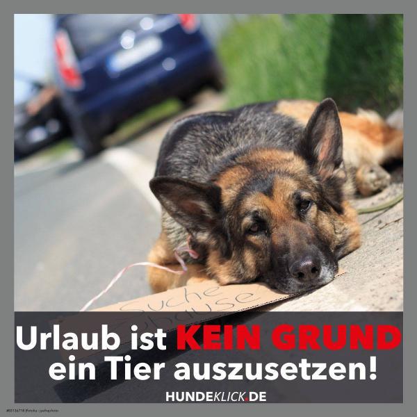 URLAUB IST KEIN GRUND...