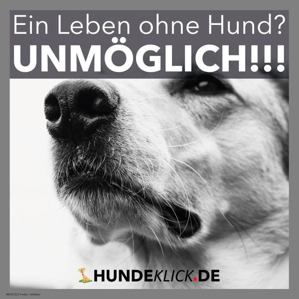 EIN LEBEN OHNE HUND...