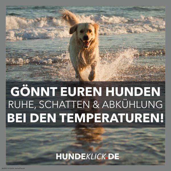 GÖNNT EUREN HUNDEN...