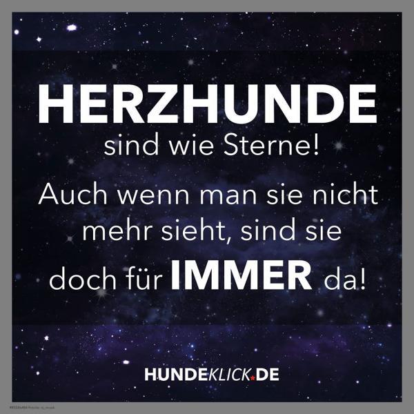 HERZHUNDE SIND WIE...