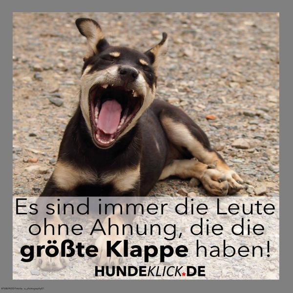 ES SIND IMMER...