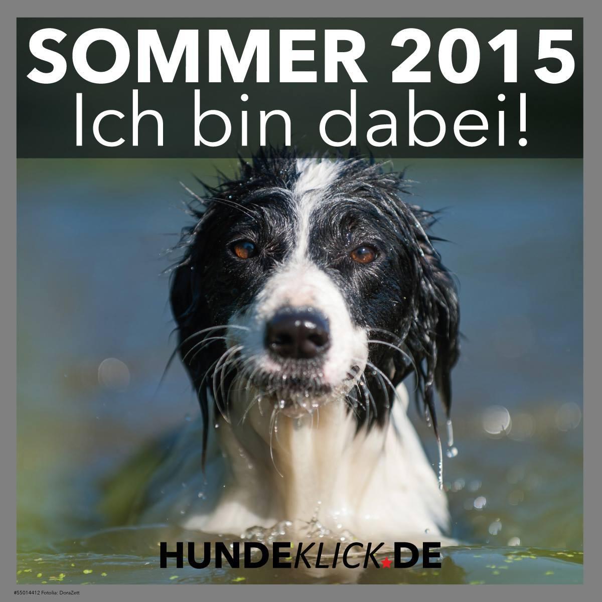 SOMMER 2015...