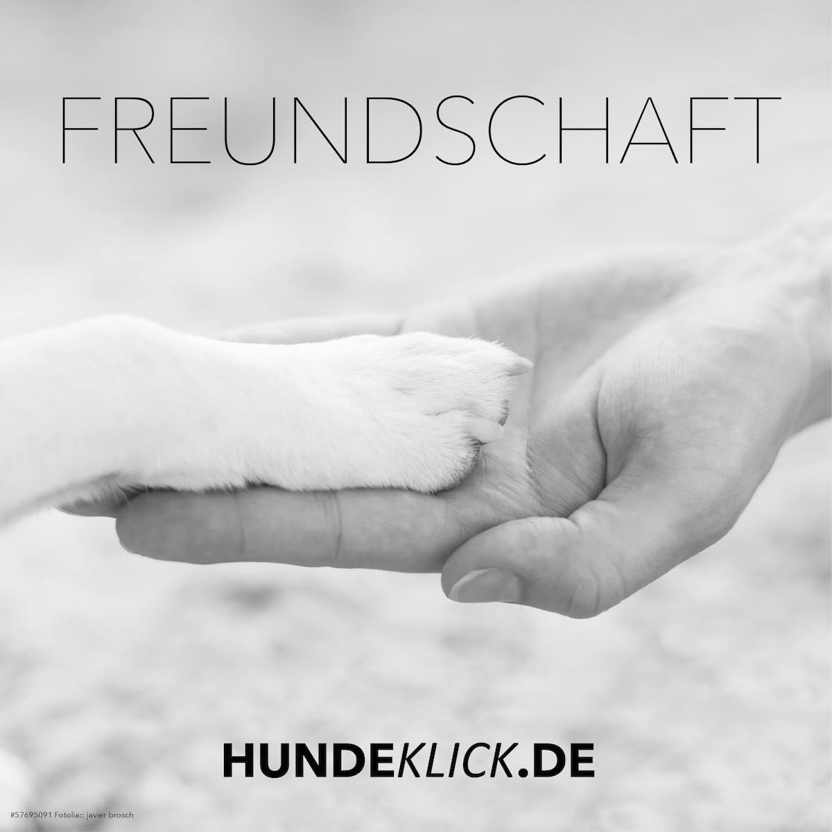FREUNDSCHAFT...