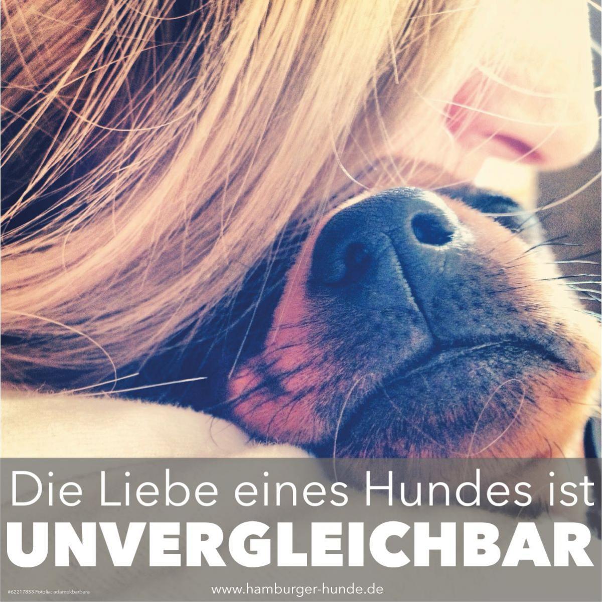 DIE LIEBE EINES...