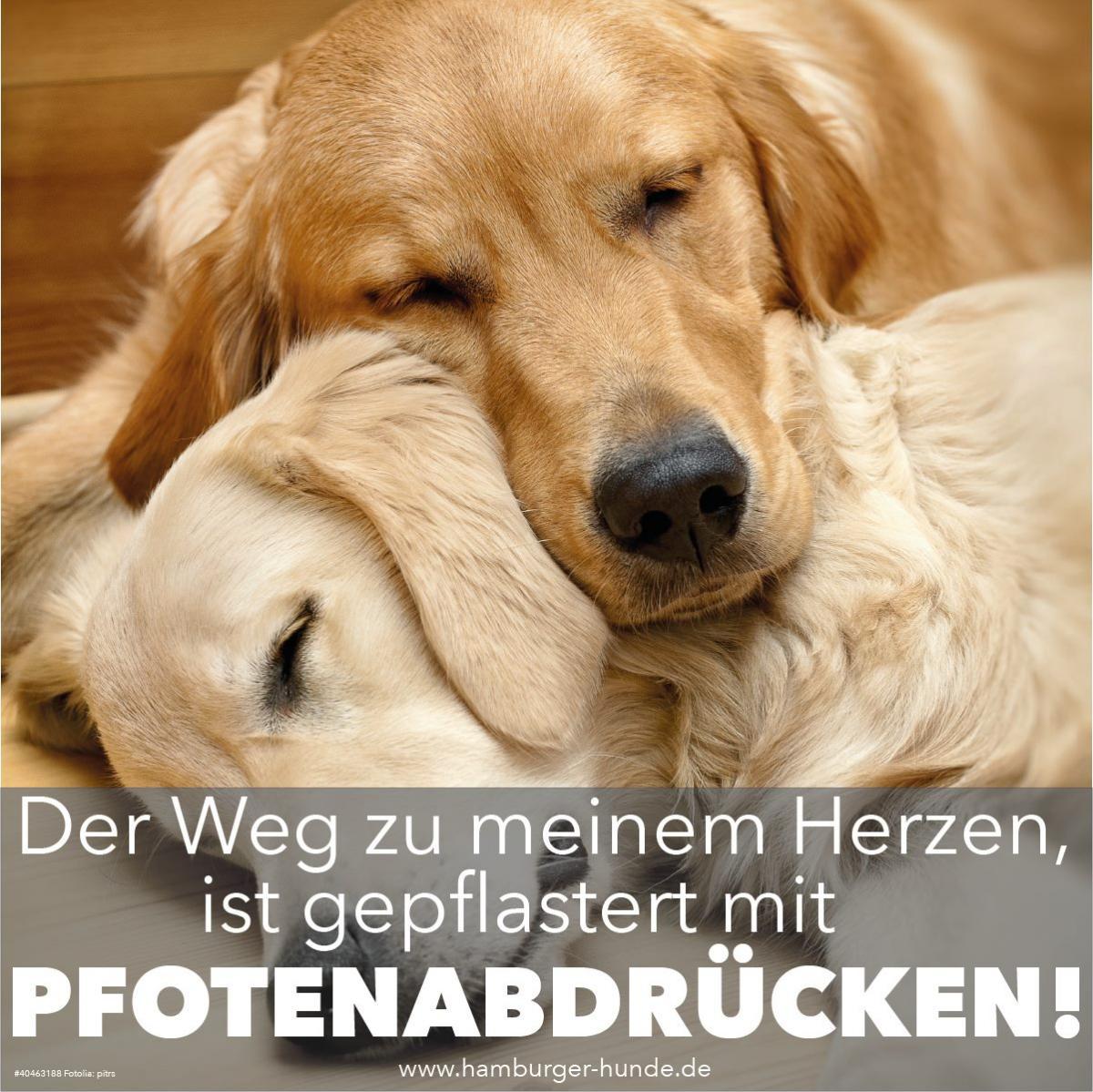 DER WEG ZU...