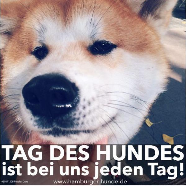 TAG DES HUNDES...