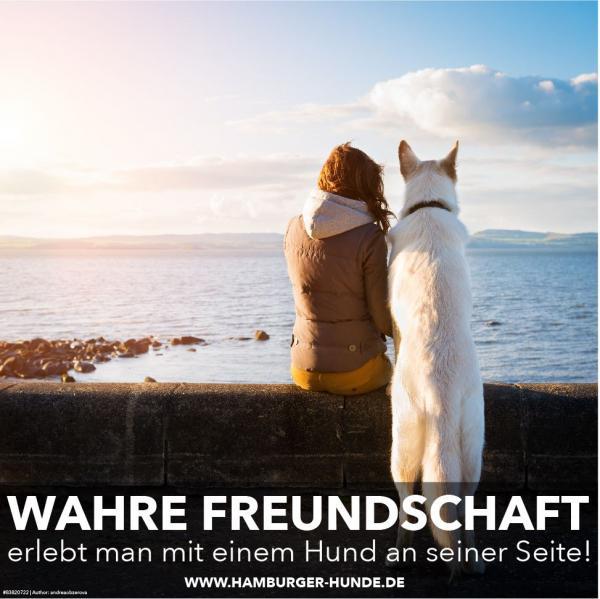 WAHRE FREUNDSCHAFT ERLEBT...