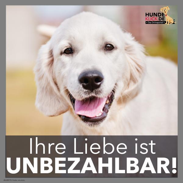 IHRE LIEBE IST....