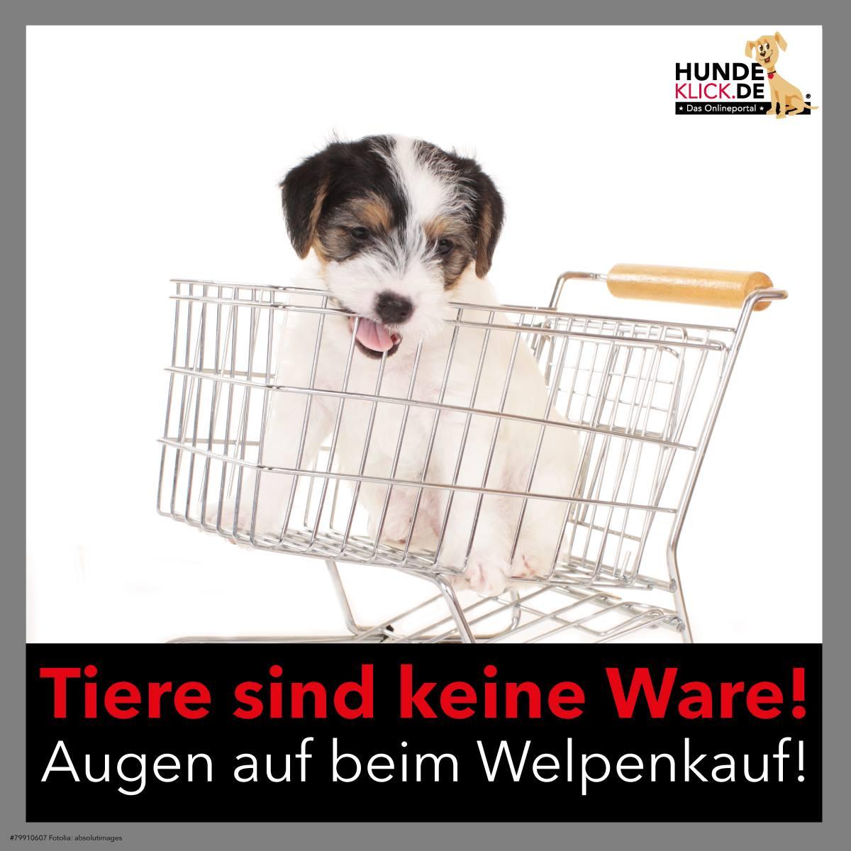 Tiere sind keine Ware...