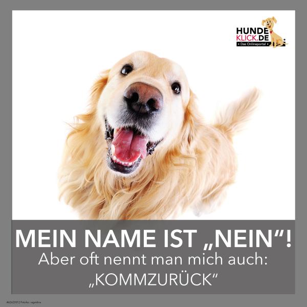 Mein Name ist Nein...