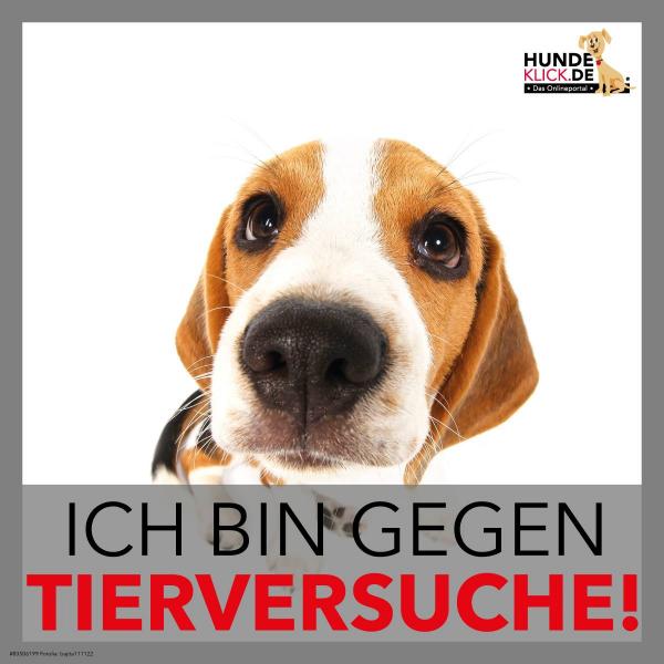 Ich bin gegen Tierversuche!
