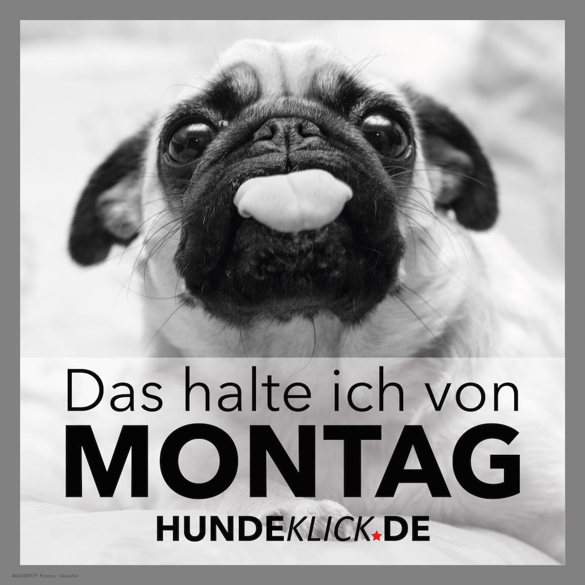 DAS HALTE ICH VON MONTAG!