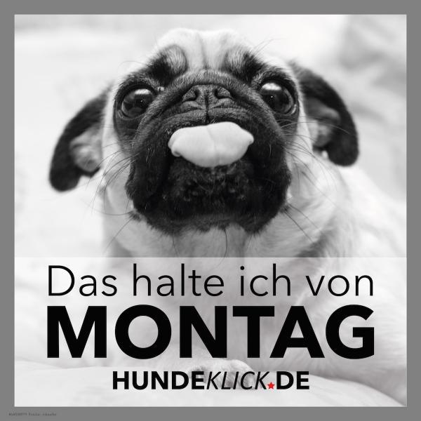 DAS HALTE ICH VON MONTAG!