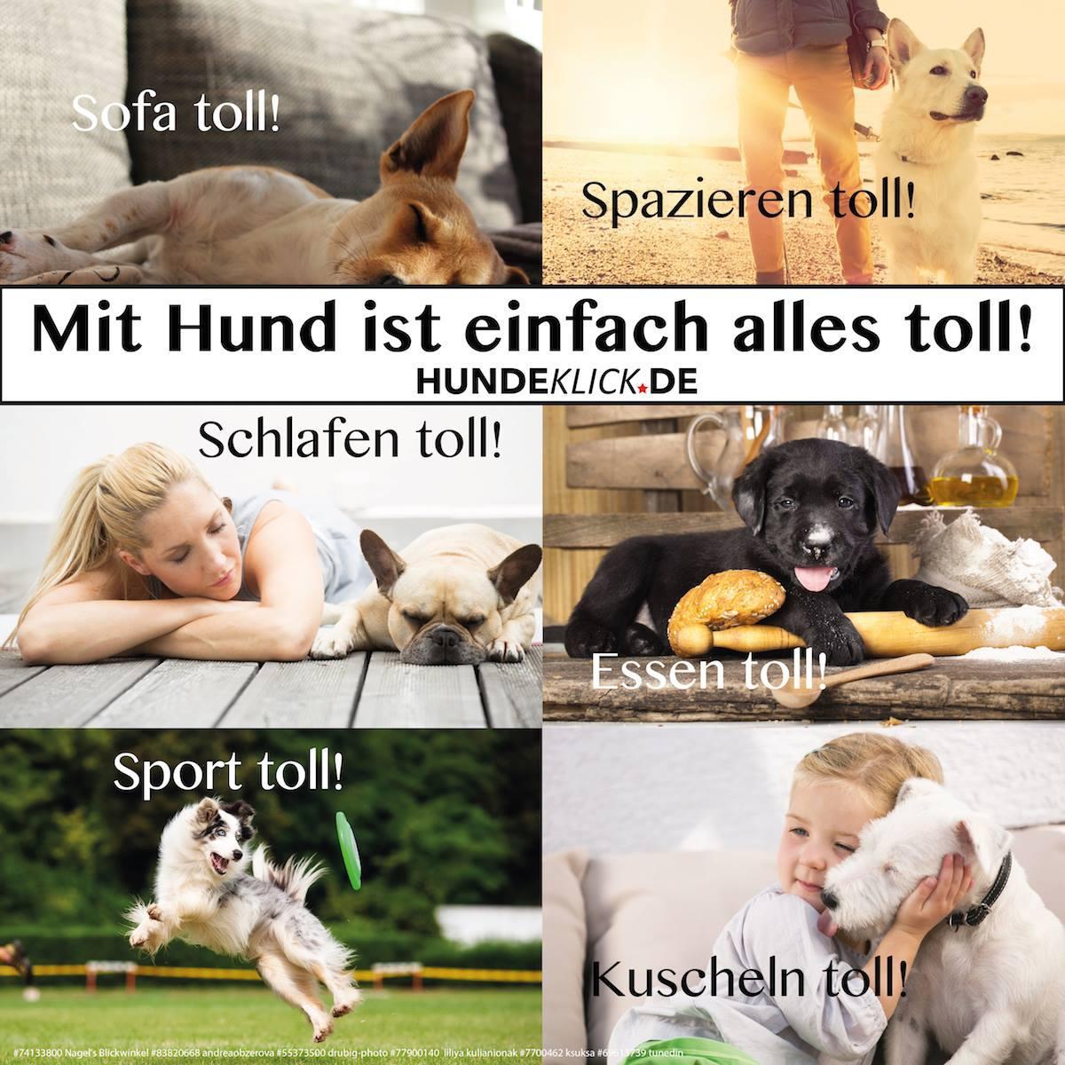 ALLES TOLL...
