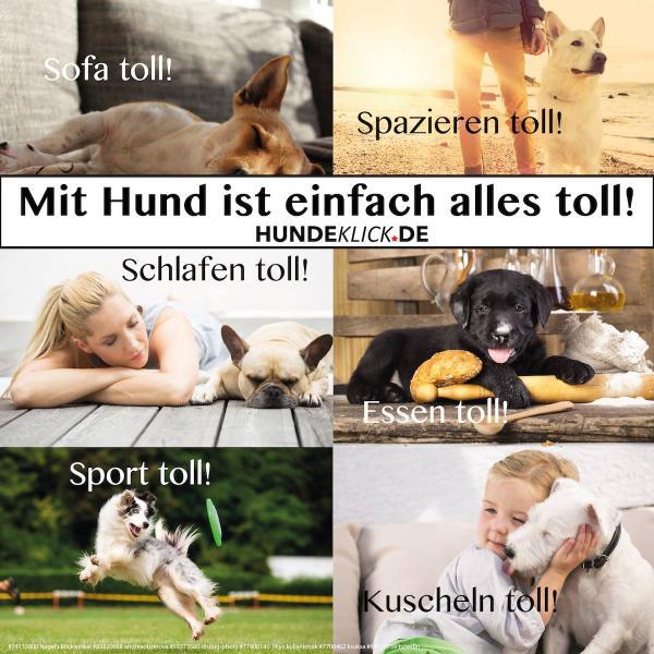 ALLES TOLL...