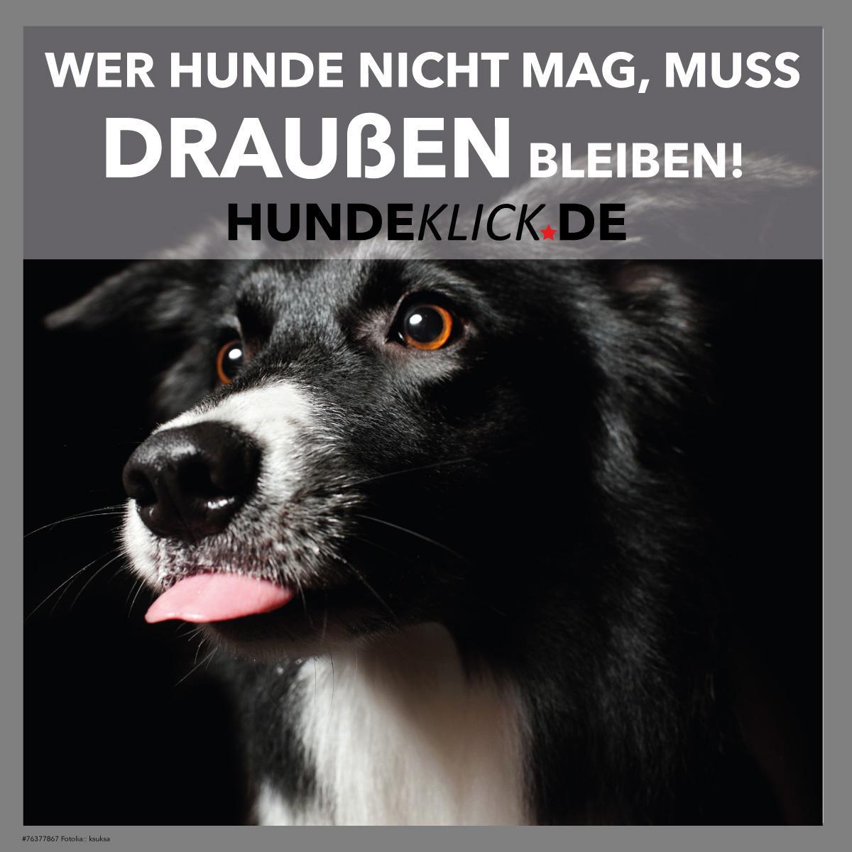 WER HUNDE NICHT MAG, DER...