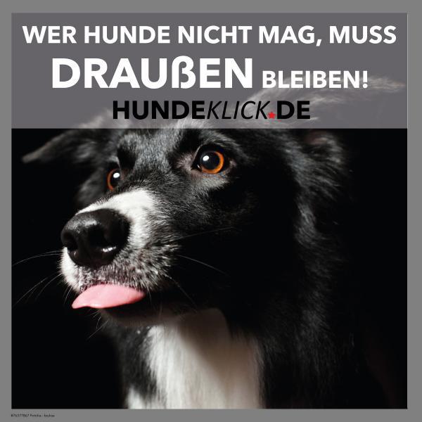 WER HUNDE NICHT MAG, DER...