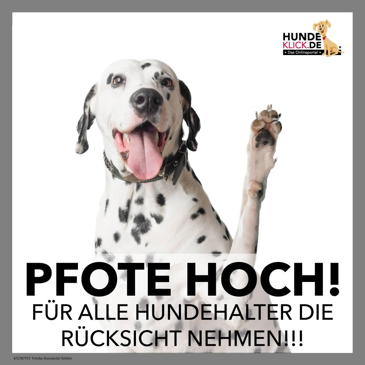Pfote hoch für alle...