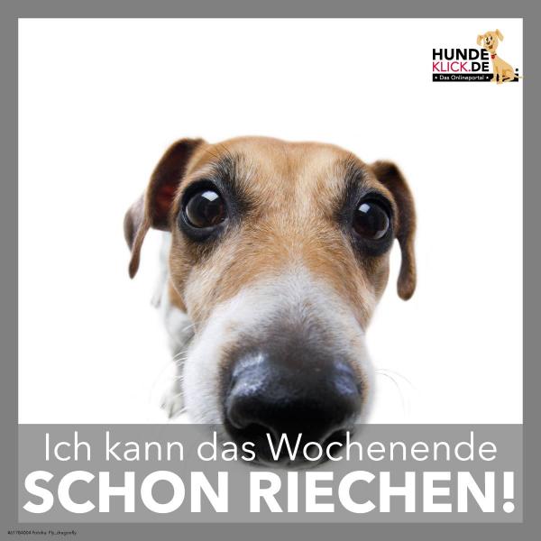 Ich kann das Wochenende...