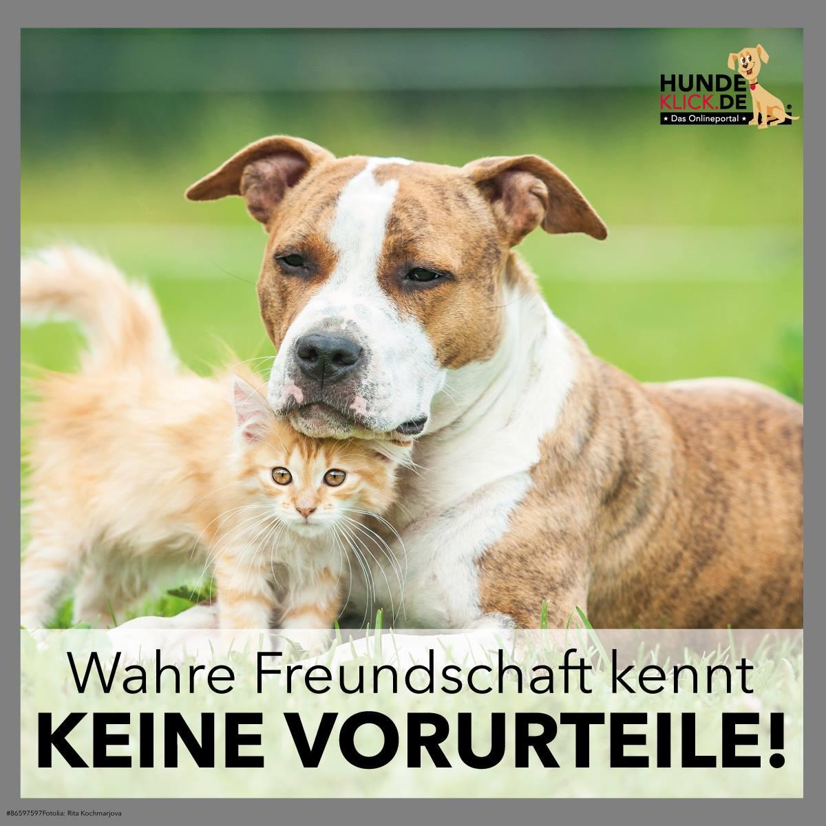 Wahre Freundschaft...