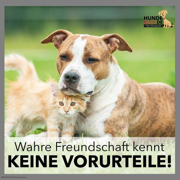 Wahre Freundschaft...