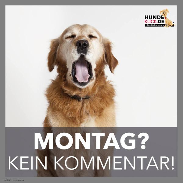 Montag...kein Kommentar!