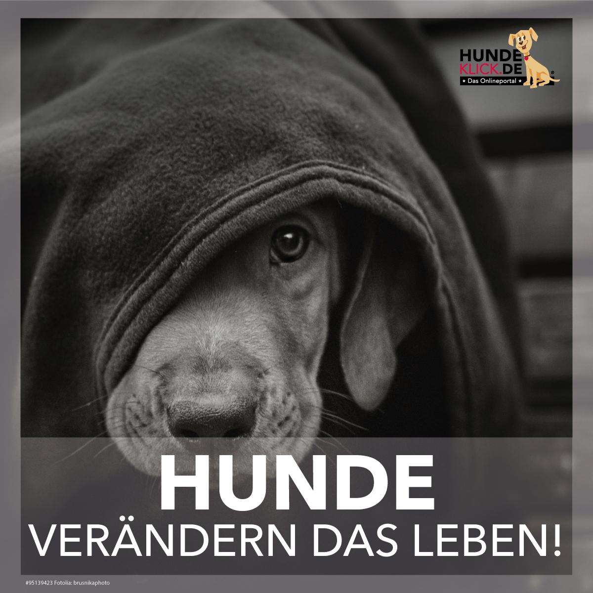 Sie verändern unser Leben!