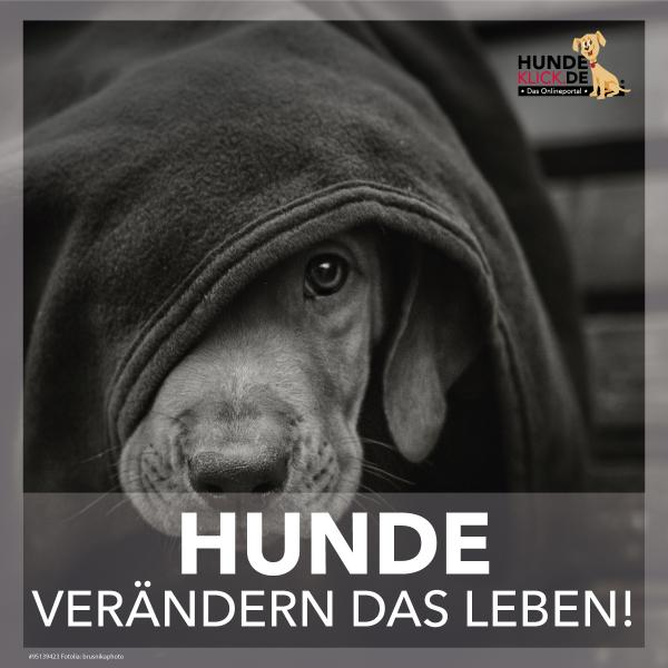 Sie verändern unser Leben!