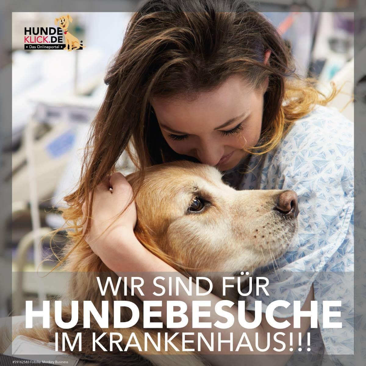 Wir sind für Hundebesuche im Krankenhaus!