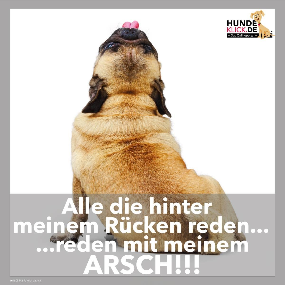 Alle die hinter meinem Rücken...