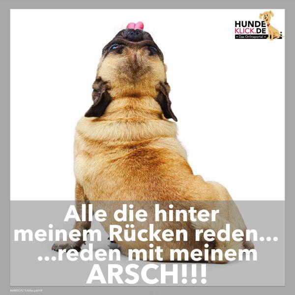 Alle die hinter meinem Rücken...