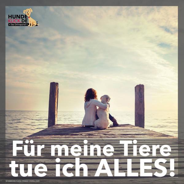 Für meine Tiere...