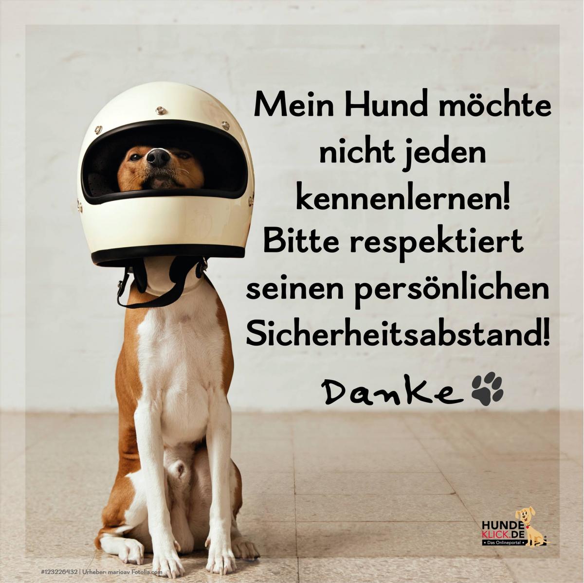 Mein Hund...