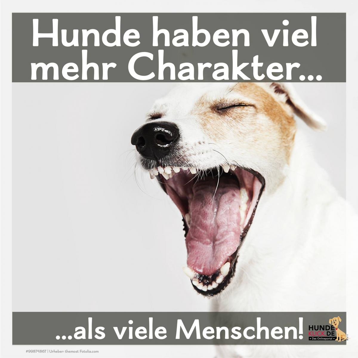 Mehr Charakter...als viele Menschen!