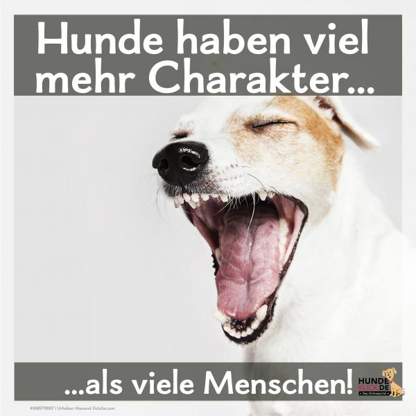 Mehr Charakter...als viele Menschen!