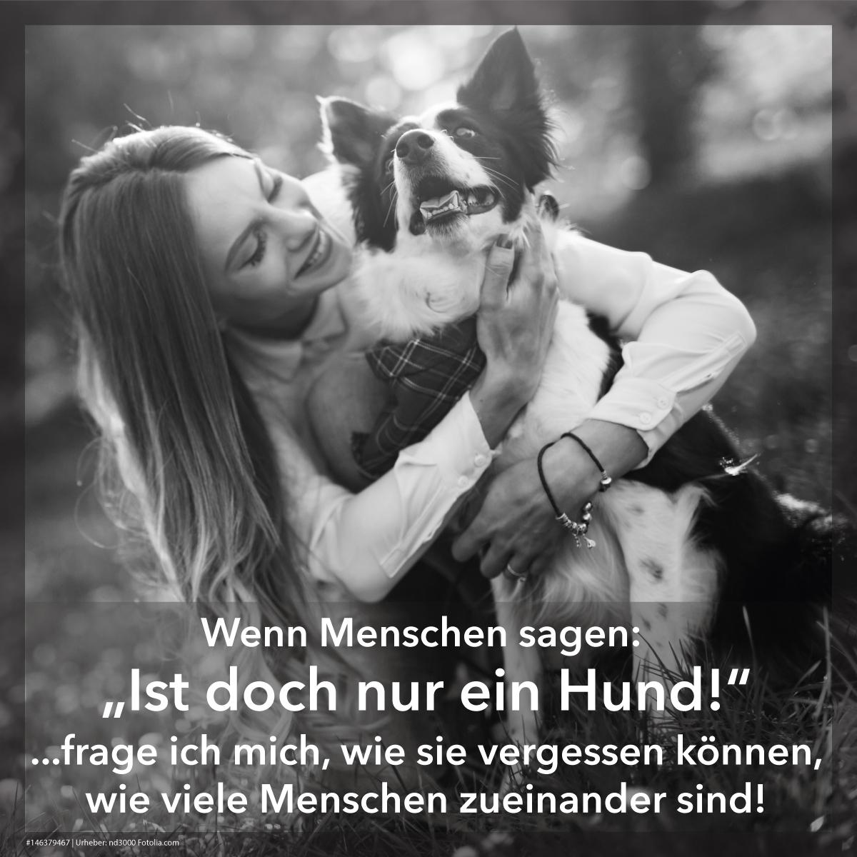 Nur ein Hund?