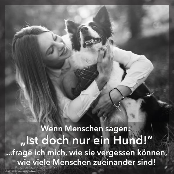 Nur ein Hund?