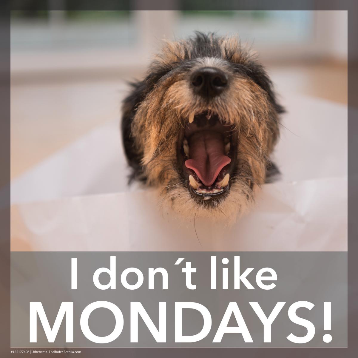 I don´t like mondays...