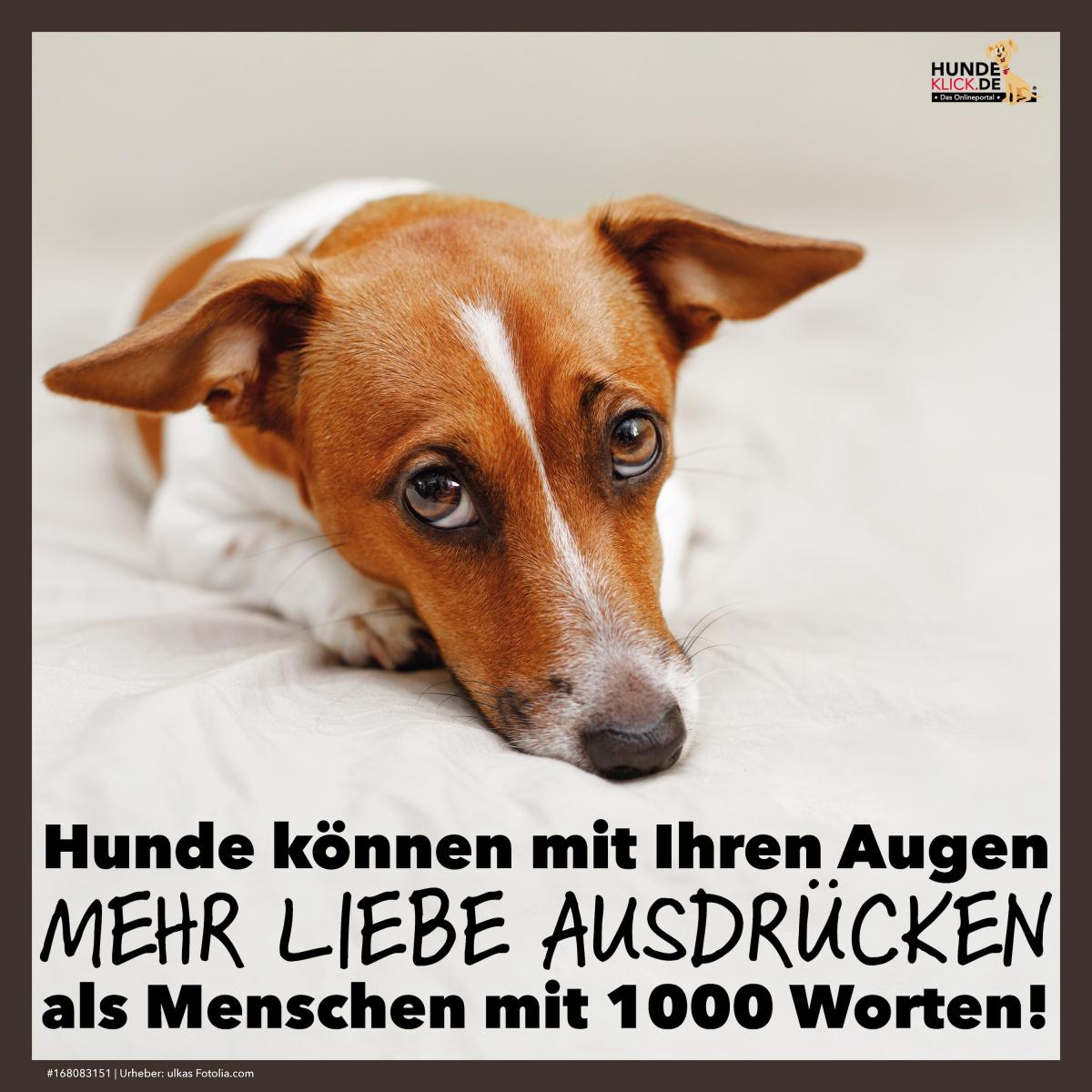Ein Blick sagt mehr als 1000 Worte!