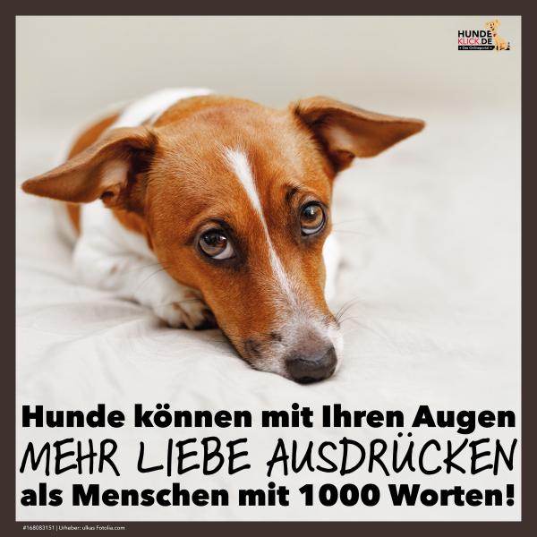 Ein Blick sagt mehr als 1000 Worte!