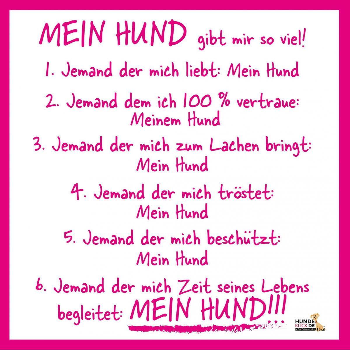 Mein Hund gibt mir so viel!!! 