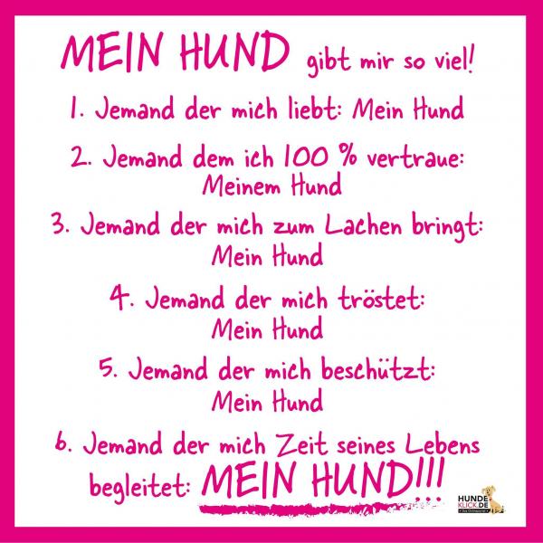 Mein Hund gibt mir so viel!!! 