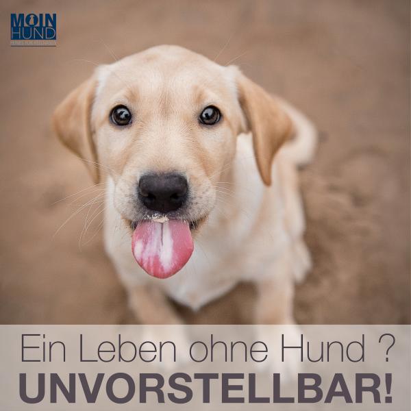 Unvorstellbar